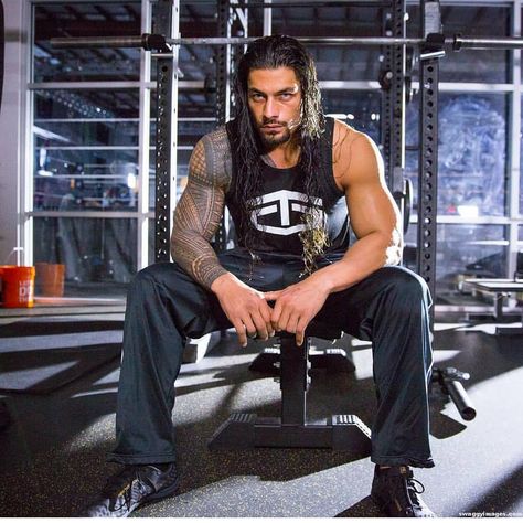 #romanreings #wweromanreigns #wweroman #wwe #roman #reigns #empire #bigdog #samoa #deanambrose #sethrollins #theshield #shield #wwe… Reggaeton, Roman Reigns Workout, Roman Reigns Shield, Joseph Anoai, Shield Wwe, Japanese Wrestling, Roman Reigns Wwe Champion, Joe Anoaʻi, Roman Regins