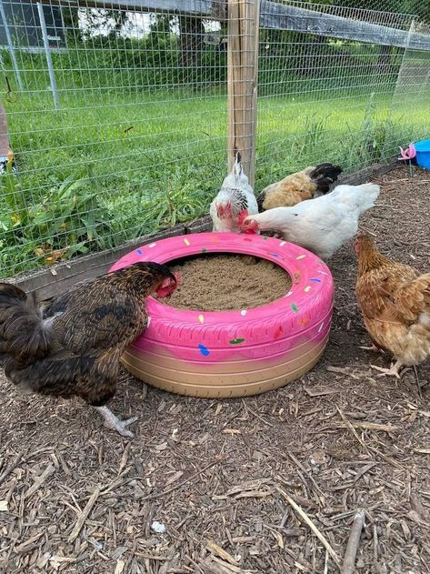 #backyardchickens #dustbath #chickenruns #dirtbath #pinktire Different Chicken Breeds, Things For Chickens To Play With, Diy Chicken Coop Decor, Wallpaper Chicken Coop, Chicken Hideouts, Small Chicken Run Ideas, Chicken And Rabbit Coop, Chicken Run Landscaping Ideas, Chicken Merry Go Round