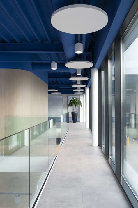 Corridor Office Design, Blue White Office Design, Dark Blue Office Design, Entrance Corridor Design, Corridor Design Office, Color Office Design, Office Colors Ideas, Office Corridor Design, Small Corporate Office