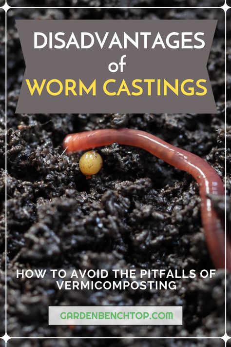 worm castings disadvantages Vermiculture Worm Farm, Earthworm Farm, Vermicomposting Worm Farm, Worm Farm Diy, Worm Castings Tea, Worm Beds, Worm Composting Bin, Meal Worms, Worm Castings