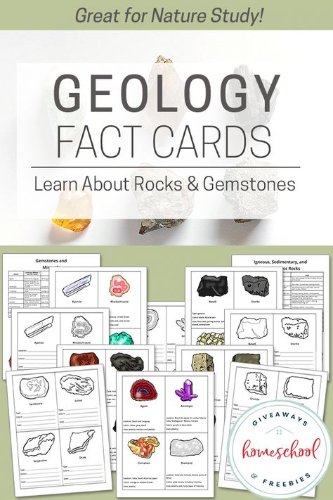 6th Grade Science, Montessori, Geology Activities, Types Of Rocks, Different Types Of Rocks, Writing Printables, Different Gemstones, Homeschool Freebies, History Curriculum