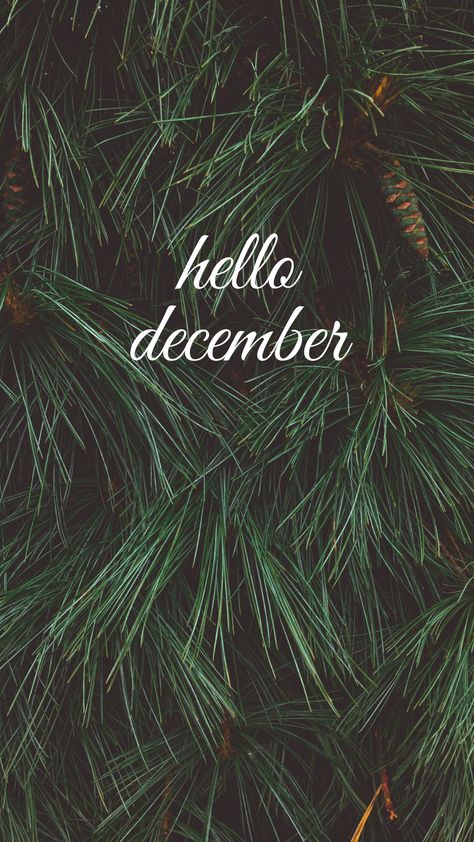 Natal, Happy December Wallpaper, December Wallpaper 2023, Cute December Wallpaper, Hello December Aesthetic, December Iphone Wallpaper, Hello December Month, Hello December Wallpaper, December Pics