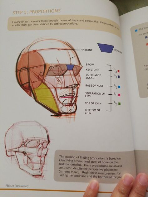 Heavenly Drawing Poses, Portrait Drawing Guide, Figure Drawing Studies, Begginer Anatomy Drawing, Sketch Techniques Step By Step, Learn Perspective Drawing, Facial Planes Study, Michael Hampton Figure Drawing, How To Draw Face Structure