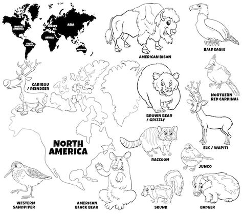 North America Animals, Animals Of North America, Cartoon Book, Animal Activities For Kids, American Landmarks, North American Animals, Coloring Worksheet, Animals Coloring Pages, Educational Illustration