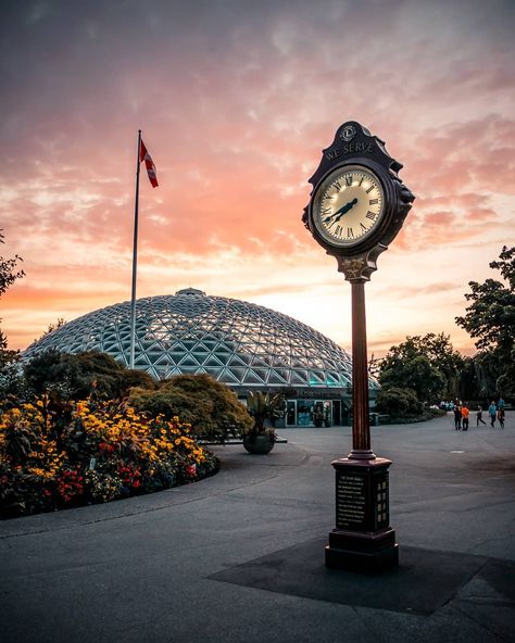 Queen Elizabeth Park Vancouver, Queen Elizabeth Park, Pinterest Journal, Evening Time, Wallpaper Landscape, Iphone Wallpaper Landscape, Sunshine Coast, The View, Queen Elizabeth