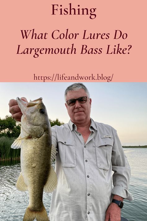 What Color Lures Do Largemouth Bass Like? Best Bass Fishing Lures, Best Bass Lures, Fishing Tricks, Best Fishing Kayak, Bass Bait, Largemouth Bass Fishing, Bass Lures, Bass Fishing Lures, Fly Fishing Tips