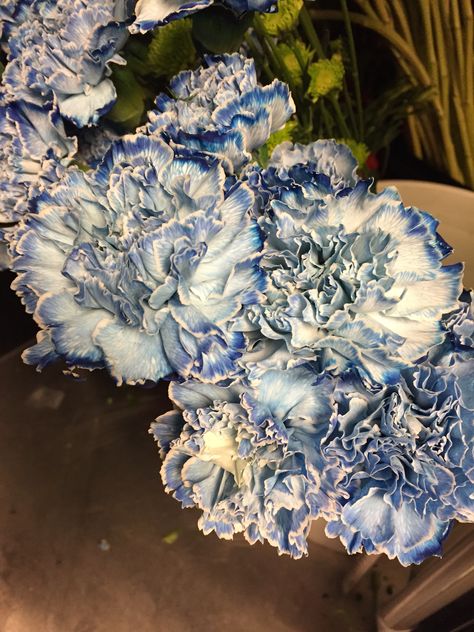 Flowers Aesthetic Blue, Aesthetic Blue Flowers, Blue Flowers Aesthetic, Flower Bouquet Blue, Flower Garden Design Ideas, Garden Ideas Flower, Blue Flower Bouquet, Flower Gardening Ideas, Flower Garden Ideas