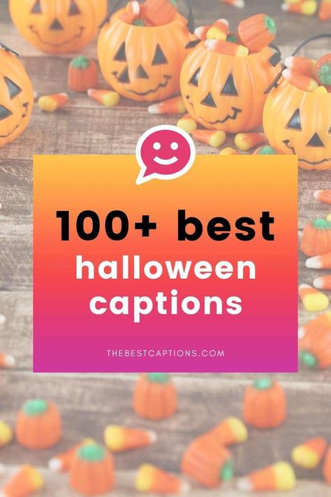 Halloween Dog Puns, Cute Halloween Captions For Instagram, Cute Halloween Captions, Halloween Captions For Instagram, Party Captions, Halloween Captions, Halloween Puppy, Halloween Puns, Wedding Captions For Instagram