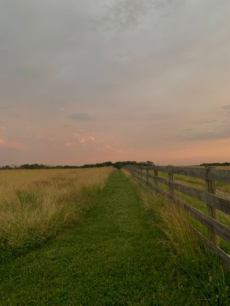 County Side Aesthetic, Devon Core Aesthetic, Forest Farm Aesthetic, New Jersey Nature, Land Astethic, Josie + Core + Aesthetic, Landscapes With Animals, Vintage Field Aesthetic, Nature Farm Aesthetic