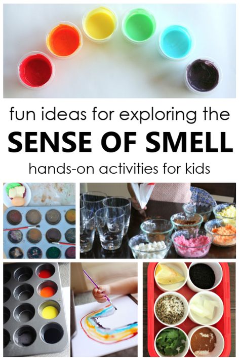 20 Fun Ideas for Exploring the Sense of Smell~Unique ideas for toddlers, preschoolers, and school age kids. Perfect for a five sense theme! #preschool #kindergarten #fivesenses #sensory Five Senses Activities For Toddlers, Senses Activities For Toddlers, 5 Senses Craft, 5 Senses Preschool, Five Senses Preschool, 5 Senses Activities, Senses Preschool, My Five Senses, Senses Activities