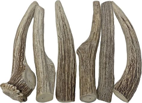 PRICES MAY VARY. THE PERFECT ANTLER CHEW BUNDLE FOR AGGRESSIVE CHEWERS: Package Contains: 6 Hard Medium Axis Deer Antler Pieces EXTRA HARD, LONGER LASTING: Axis Deer Horns are Denser and Longer Lasting. FOR POWER CHEWERS ONLY. PREMIUM QUALITY, NATURALLY SHED ANTLERS - At WhiteTail Naturals, we are committed to crafting naturally shed, hand selected Axis antlers into the perfect natural chew for your pet. TOTALLY MESS-FREE & ODORLESS - Unlike other chew toys that leave greasy residue on your floo Nature, Deer Antlers For Dogs, Axis Deer, Natural Dog Chews, Dog Antlers, Deer Horns, Shed Antlers, Elk Antlers, Medium Dog