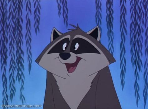 Meeko (Pocahontas' Raccoon) Raccoon Pocahontas, Meeko Tattoo, Meeko Pocahontas, Pocahontas Meeko, Disney Sidekicks, Disney Emoji Blitz, Disney Emoji, Disney Wiki, Storybook Characters