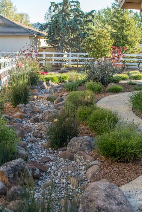 Sloped Garden Landscape, Dry River Landscaping, Raised Bed Rock Garden, Hilly Landscape Ideas, Front Yard Tea Garden, Downspout Dry River Bed, River Rock Landscaping Dry Creek Bed, Mulch Free Landscaping, Modern Dry Creek Bed