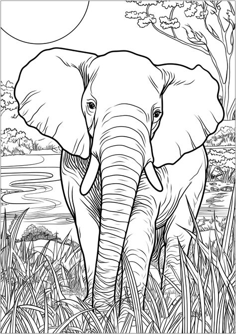 An invitation to discover the wildlife of Africa - JustColor.net : Free adult printable coloring pages Camping Coloring Pages, Elephant Cartoon, Elephant Sketch, Elephant Coloring Page, Kid Coloring Page, Animal Stencil, Elephant Drawing, Free Adult Coloring Pages, Online Coloring Pages