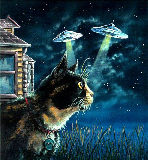 Cats from Beyond! Tales of Feline Aliens, Ghosts, and Beasts Space Cats, Ufo Art, Alien Artwork, Cat Jokes, Kitty Art, Psy Art, Aliens And Ufos, Alien Art, Space Cat
