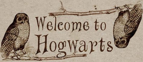 Fimo, Harry Potter England, Hogwarts Sign, Harry Potter Banner, Chicken Smoothie, Middle School Libraries, Harry Potter Stickers, About Harry Potter, Welcome To Hogwarts