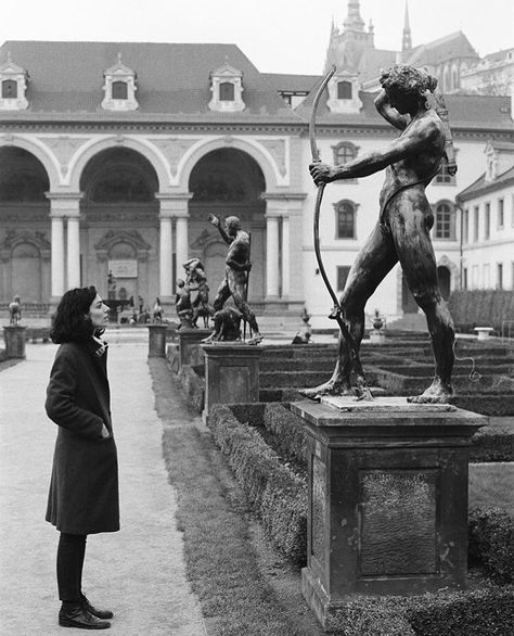 Looking at Art Elliott Erwitt, Elliott Erwitt Photography, Elliot Erwitt, Chestnut Tree, Dark Academia Aesthetic, The Secret History, Academia Aesthetic, White Aesthetic, Dark Academia