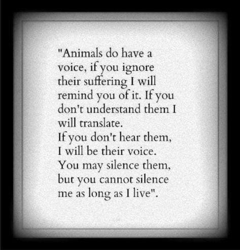 Peaceable Kingdom, Vegan Quotes, Animal Liberation, Conscious Living, Stop Animal Cruelty, Animal Advocacy, Vet Tech, Human Behavior, Amazing Animals