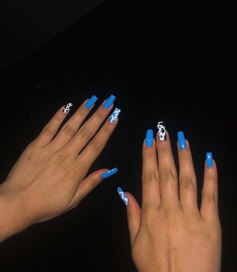 Blue and black cow print nails Cow Print Nails Purple, Black Cow Print Nails, Blue Cow Print Nails, Blue Cow Print, Cow Print Nails, Dark Purple Nails, Fun Summer Nails, Cow Nails, Blue Cow