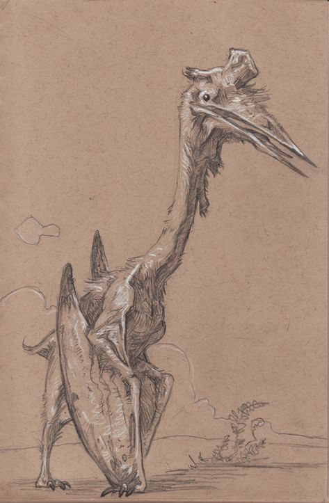 Quetzalcoatlus Drawing, Flying Dinosaur Drawing, Quetzalcoatlus Art, Pteranodon Art, Dinosaur Drawings, Prehistoric Animals Dinosaurs, Dinosaur Sketch, Prehistoric Wildlife, Dinosaur Drawing