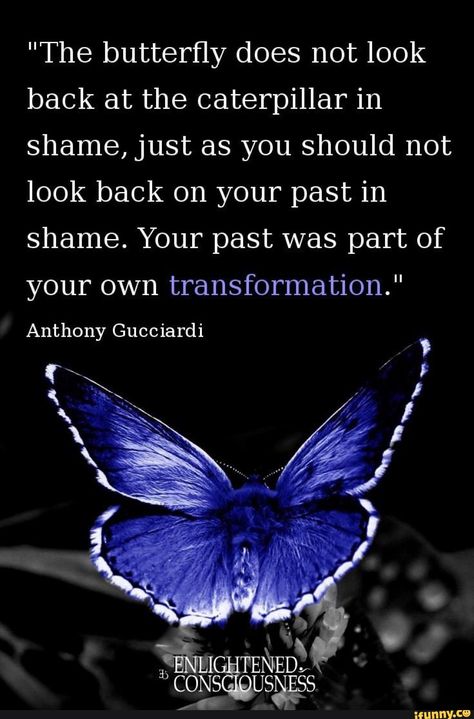 Found on iFunny Character Quotes, Metamorphosis Quotes, Spiritual Garden, Butterfly Transformation, Transformation Quotes, Tattoo Plant, Butterfly Quotes, General Quotes, Dont Look Back