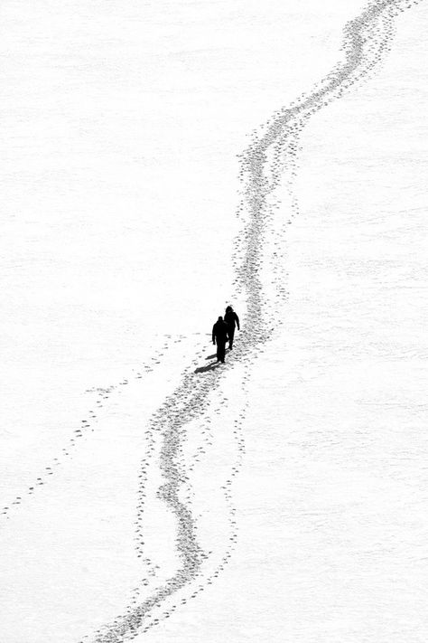 Minimalist Photography, Birds Eye View Tattoo, Snow Tattoo, Word Tattoo Ideas, Dandelion Field, Snow Illustration, Word Tattoo, Ends Of The Earth, With Meaning