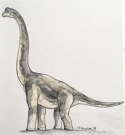 Dino Drawing, Dinosaur Sketch, Arte Grunge, Dinosaur Drawing, Dragon Illustration, Kunst Inspiration, Drawing Ink, Dinosaur Art, Animal Sketches