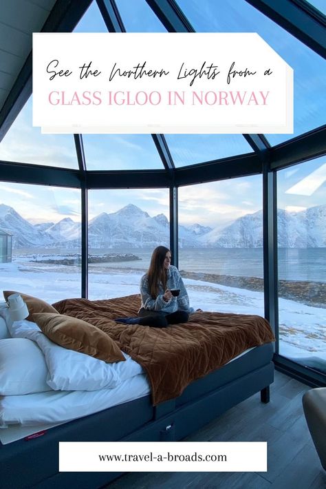 enjoying my view from my 180 degree glass igloo at Lyngen North Igloo Northern Lights, Glass Igloo Northern Lights, Northern Lights Igloo, Norway Honeymoon, Glass Igloo Hotel, Northern Lights Hotel, Igloo Hotel, Things To Do In Norway, Glass Igloo