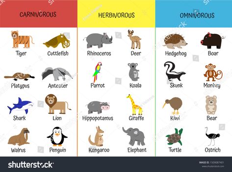 Carnivorous Animals For Kids, Herbivore Carnivore Omnivore Activities, Carnivores Animal, Omnivores Animals, Herbivores Animals, Carnivore Animals, Animals Cartoon Images, Farm Theme Preschool Activities, Carnivores Herbivores Omnivores