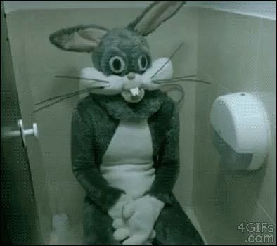 Sit With The Easter Bunny GIF - Easter Happyeaster Eastersunday - Discover & Share GIFs Attic Bedrooms, Creepy Gif, Scary Gif, Weird Images, Bathroom Humor, Bugs Bunny, Aesthetic Gif, Arte Horror, Komik Internet Fenomenleri