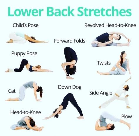 Lower Back Stretches Lower Back Stretches, Lower Back Pain Stretches, Yoga Poses For Back, Low Back Stretches, Back Stretches For Pain, Lower Back Pain Exercises, Latihan Yoga, Yoga Beginners, Yoga For Back Pain