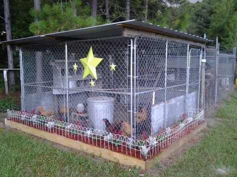 Chicken coop Maded out of a dog kennel...by T-N- T..our girls love it...my husband and i put chicken wire on the in side ..this work out great...... Dog Fence Chicken Coop, Chicken Coop Made From Dog Kennel, Chicken Coop Chain Link Fence, Fence Panel Chicken Coop, Chain Link Fence Chicken Coop, Chicken Coop Out Of Dog Kennel, Chain Link Chicken Run, Chain Link Chicken Coop, Chicken Coop From Dog Kennel