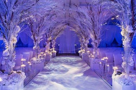 winter wedding ideas (37) | The FashionBrides Winter Wonderland Wedding Theme Wedding Ceremony Decor, Winter Wonderland Wedding Reception, Christmas Floats, Winter Wonderland Wedding Decorations, Wonderland Wedding Decorations, Hp Wedding, Winter Wonderland-party, Winter Wonderland Wedding Theme, Debut Party