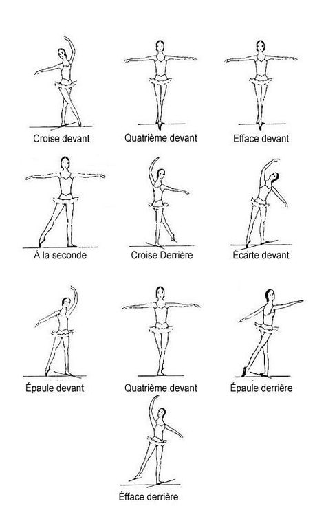 Ballet Dance Moves, Dance Terms, Ballet Terms, Ballet Basics, Beginner Ballet, Ballerina Workout, Ballet Stretches, Ballet Body, Indoor Plant Styling