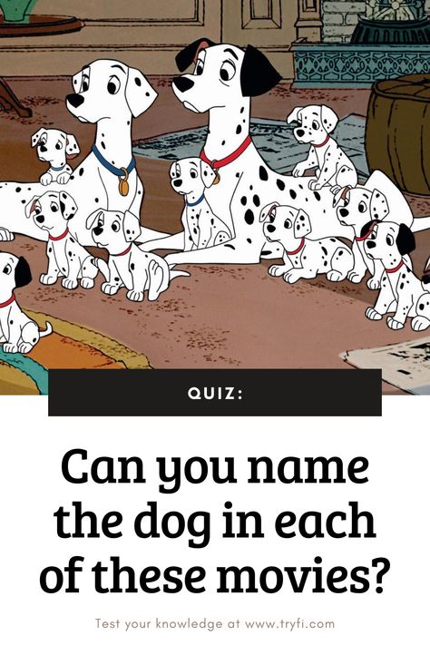 Time for another fun quiz! Can you name the dog in each of these blockbuster movies? Grab the popcorn and get started! Dog Quizzes, Dog Breed Quiz, Dog Quiz, Quiz Names, Movie Quiz, Dog Movies, What Kind Of Dog, What Dogs, Blockbuster Movies