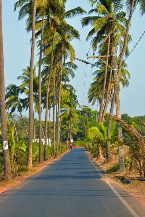 Photo taken at Parra coconut tree road in Goa Website Designs, Parra Road Photos, Parra Road Goa, Goan Architecture, Goa Diaries, Architecture Paintings, Tree Road, Architecture Painting, Coconut Tree