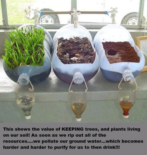 Fourth Grade Science Lessons, High School Agriculture Classroom, Ag Classroom Ideas, Water Filtration Experiment, Ag Projects, Vetenskapliga Experiment, Science Experience, مشروعات العلوم, Kid Science