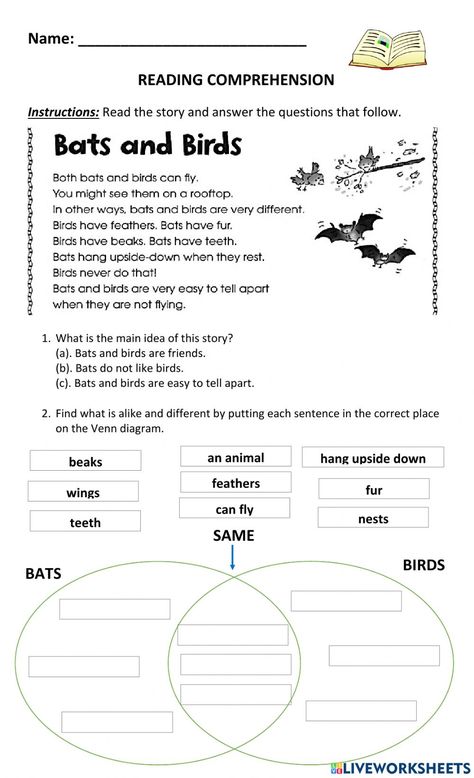 Compare and Contrast online exercise for 1. You can do the exercises online or download the worksheet as pdf. Essay Inspiration, Compare Contrast Activities, Ell Activities, Essay Outline Template, Reading Comprehension For Kids, English Grammar For Kids, Outline Template, Application Essay, Math Drills