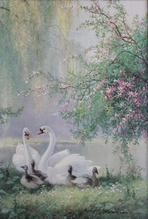 Swan Phone Wallpaper, Swan Wallpaper Aesthetic, Swan Background, Swan Wallpaper, Swan Painting, Swans Art, A Aesthetic, Rennaissance Art, Aesthetic Lifestyle