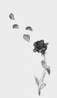 Idea Rose With Petals Falling Drawing, Fallen Rose Petals Tattoo, Rose Losing Petals Tattoo, Rose Petals Falling Drawing Simple, Fallen Rose Tattoo, Rose Tattoo With Petals Falling Off, Rose Petals Falling Tattoo, Rose With Petals Falling Tattoo, Flower Petal Tattoo Falling