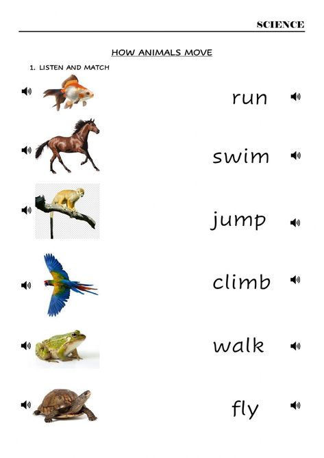 Evs Worksheet For Class 1 Animals, Animals Movement Worksheet, Where Do Animals Live Worksheet, Animals Worksheet For Grade 1, Animals Worksheet Kindergarten, Science Worksheets For Grade 1, Habitat Worksheet, Action Verbs Worksheet, Animals And Their Habitats