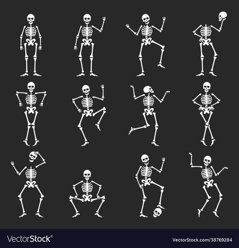 Skeleton Vector Illustration, Skeleton Squatting, Skeleton Illustration Simple, Skeleton Animation, Physio Logo, Practicing Anatomy, Skeleton Vector, Skeleton Cartoon, Skeleton Poses