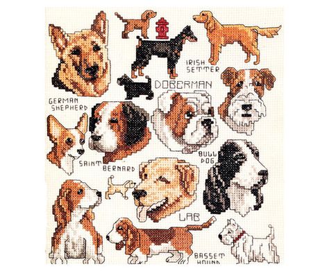 Gone to the Dogs Cross Stitch Pattern Chart Dog Breeds Faces Profile Doberman… Dogs Cross Stitch, Faces Profile, Chart Dog, Dog Lab, Nursery Cross Stitch, Vintage Cross Stitch Pattern, Vintage Cross Stitch, Lab Dogs, Cross Stitch Books