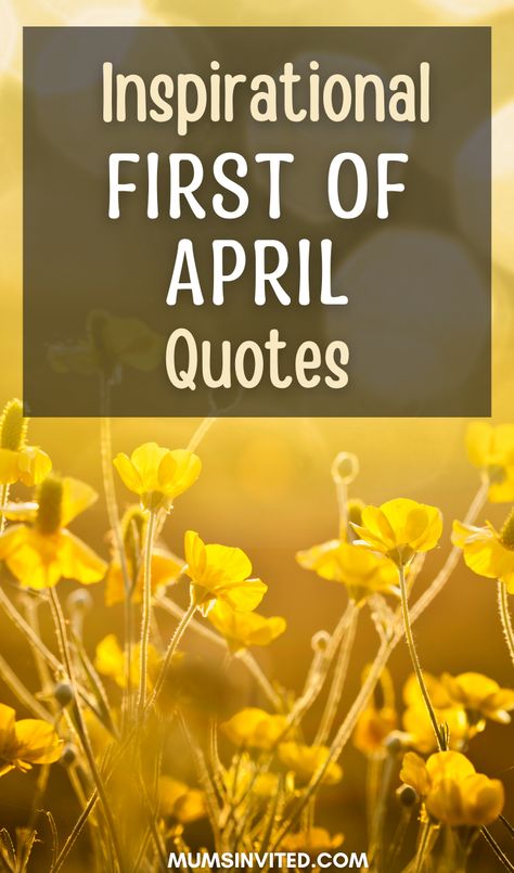 Explore our Welcome April Quotes for a refreshing blend of inspirational, aesthetic, and even funny quotes to bid goodbye to April and kickstart the new month with motivation and positivity. From delightful hello April greetings to heartfelt happy new month wishes, each quote will uplift your spirit. Enjoy a variety of letterboard quotes perfect for your 1st April celebrations or to mark your special birthday month if you're born in April. Welcome April Quotes, April Greetings, Happy New Month Wishes, Hello April Quotes, Hello March Quotes, Hello Spring Quotes, Hello May Quotes, Springtime Quotes, Birthday Month Quotes