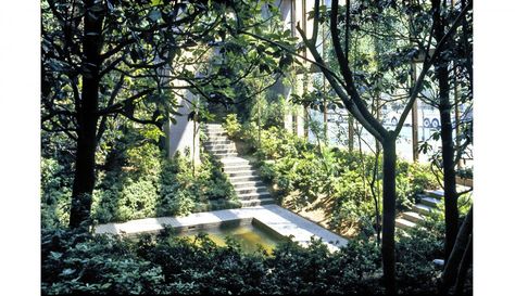 AD Classics: The Ford Foundation / Kevin Roche John Dinkeloo and Associates Interior Garden, Ford Foundation, Areas Verdes, Hidden Garden, Indoor Gardens, Landscape Architecture Design, Garden Park, Urban Oasis, Easy Garden