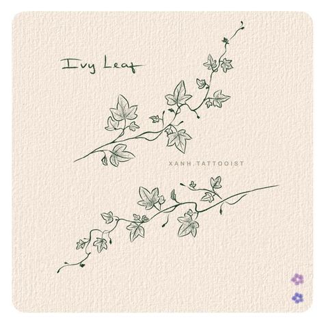 Tattoo Ivy Vine, Ivy Tattoo Fine Line, Small Plants Tattoo, Fine Vine Tattoo, Ivy Line Tattoo, Vines Around Words Tattoo, Vines Tattoo Back, Flower And Thorns Tattoo, Hand Tattoo Vine