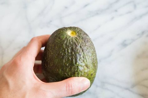 Post Image How Do You Know When An Avacado Is Ready, Avocado Snack Ideas, Avocado Pasta Recipe, Unripe Avocado, Best Avocado Recipes, Mexican Avocado, Baked Avocado Fries, How To Ripen Avocados, Creamy Avocado Pasta