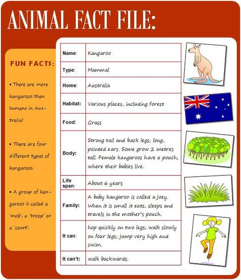 Animal fact file | LearnEnglish Kids | British Council File For School, Kangaroo Facts, Animal Fact File, Scottish Animals, Animal Pictures For Kids, Easy Animals, British Council, English Teaching, English Writing