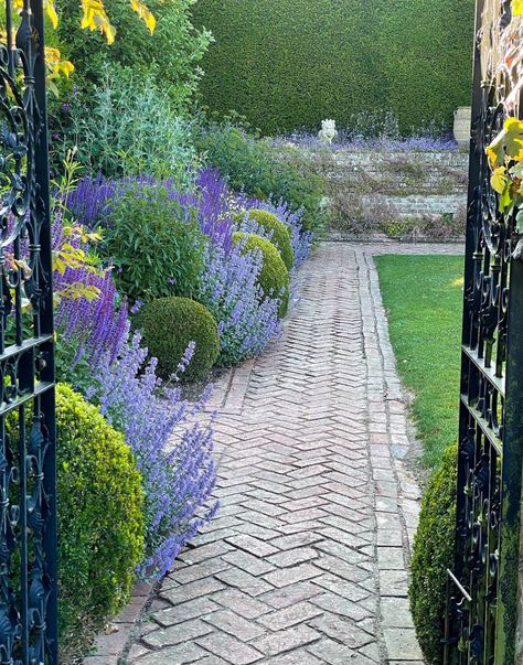 Do You Love Old Movies, Purple Gardens & More - Cindy Hattersley Design Cottage Front Garden, Small Magical Garden, House Front Garden, Front Garden Design Ideas, Portland Garden, Landscape Aesthetic, Beautiful Borders, Open Days, Garden Calendar