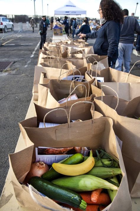 Food Bank Volunteer, Lehman College, Vision Board Book, 49ers Pictures, College Food, Vision Board Pics, Humanitarian Projects, Paper Grocery Bags, Community Service Projects